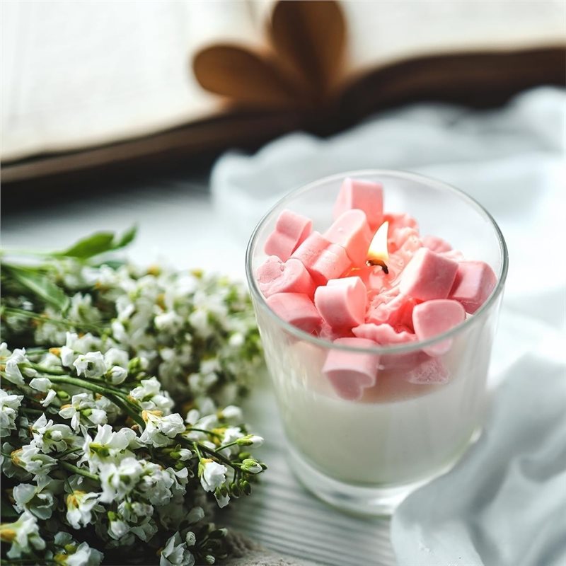 ABRU-สำหรับโหลเทียน 12 ชิ้น- โ - Candle Making Jars With Lids บทวิจารณ์และราคา